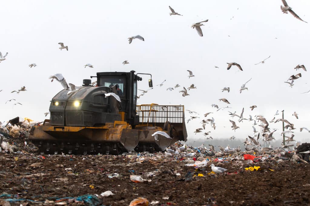 Machinery working on waste in landfill, refuse collection with bulldozer, a lots of birds.